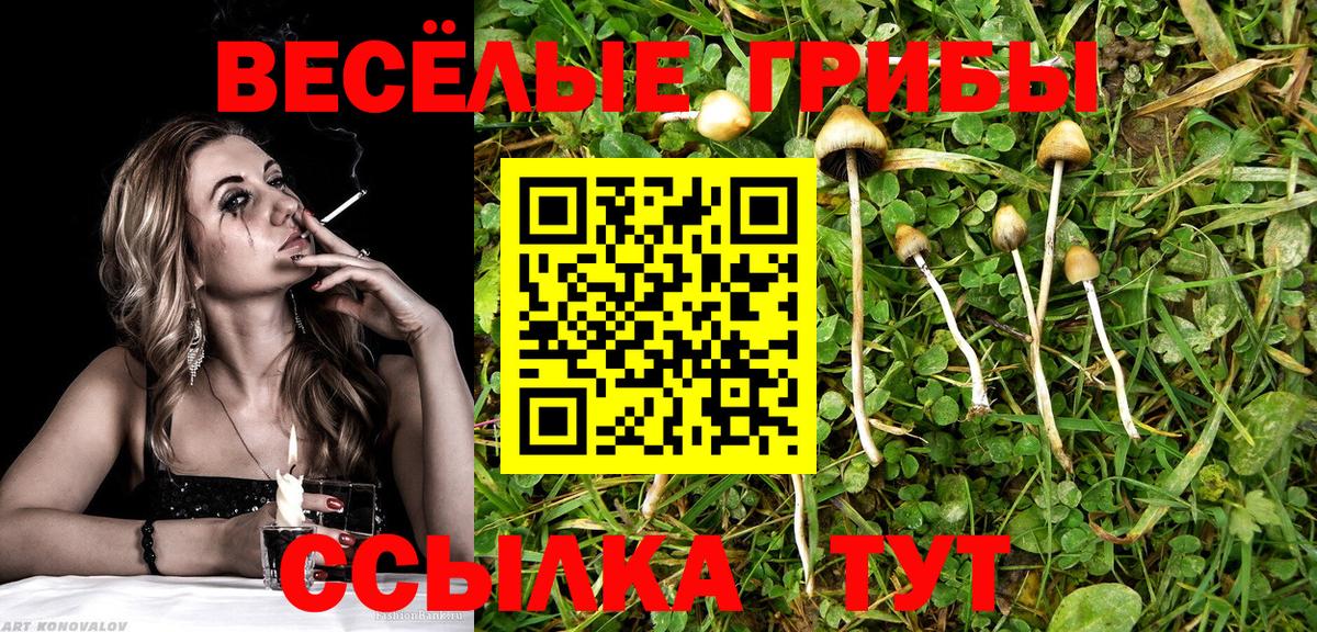 Псилоцибиновые грибы ЛСД Мирный